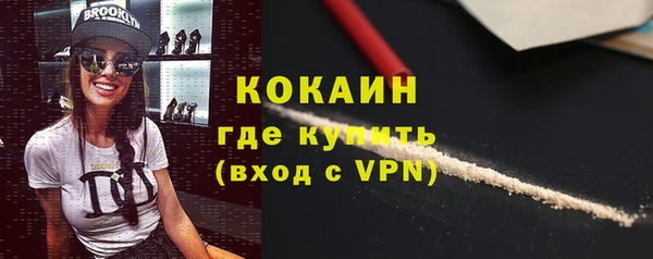 крисы Ельня