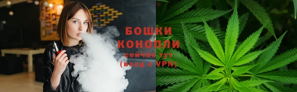 соль ск Елизово