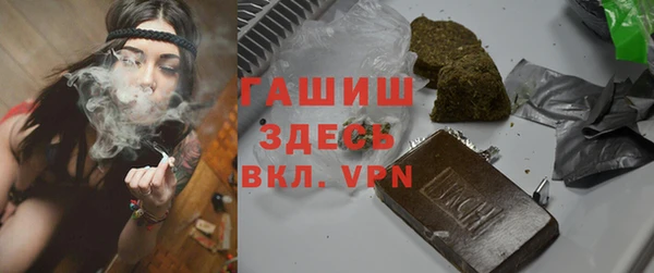 крисы Ельня