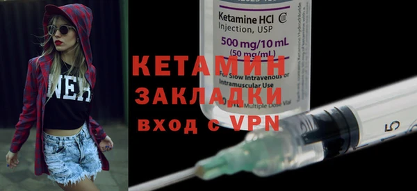 крисы Ельня