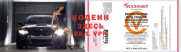 ГАЛЛЮЦИНОГЕННЫЕ ГРИБЫ Елабуга