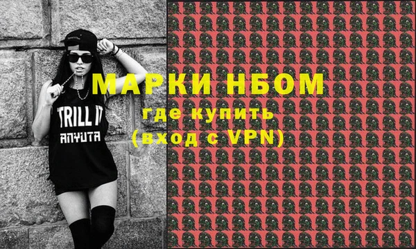 крисы Ельня