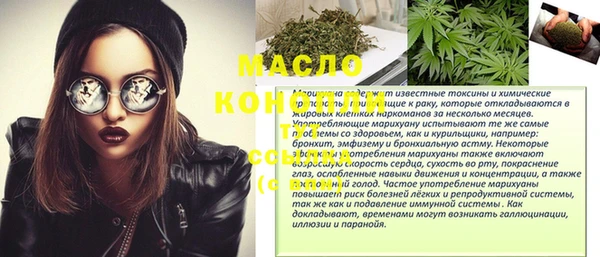 крисы Ельня