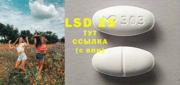 ГАЛЛЮЦИНОГЕННЫЕ ГРИБЫ Елабуга