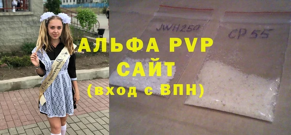 крисы Ельня